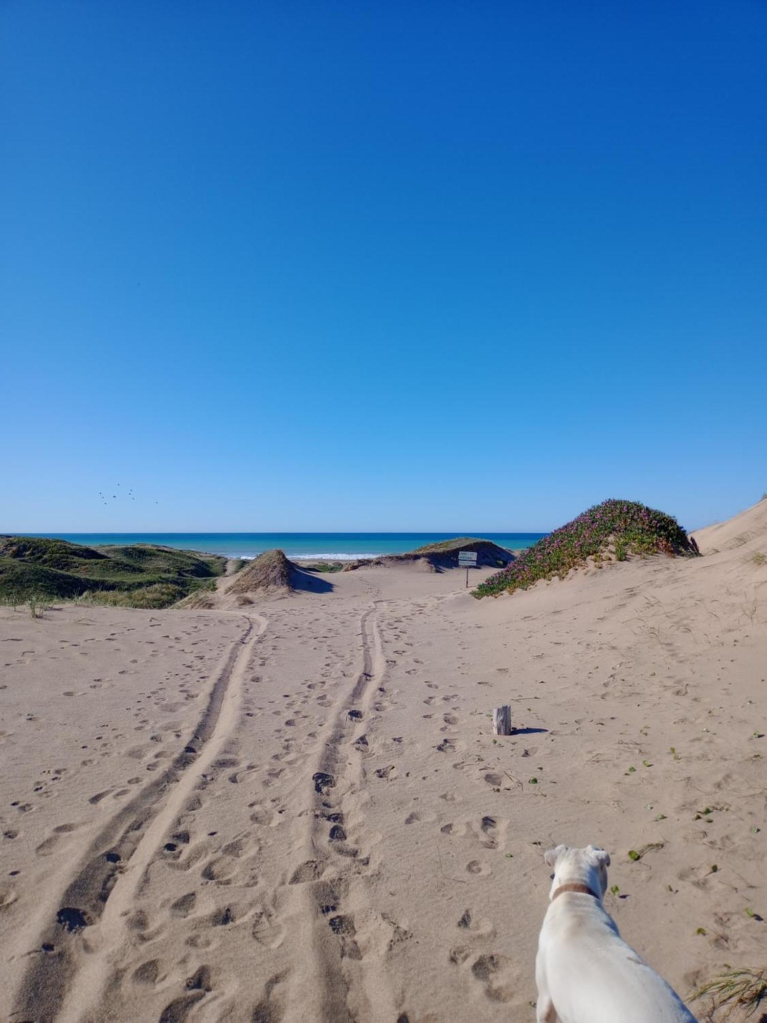 Foresta Acantilados, Casa Container Y Cabana De Troncos Mar del Plata Bagian luar foto