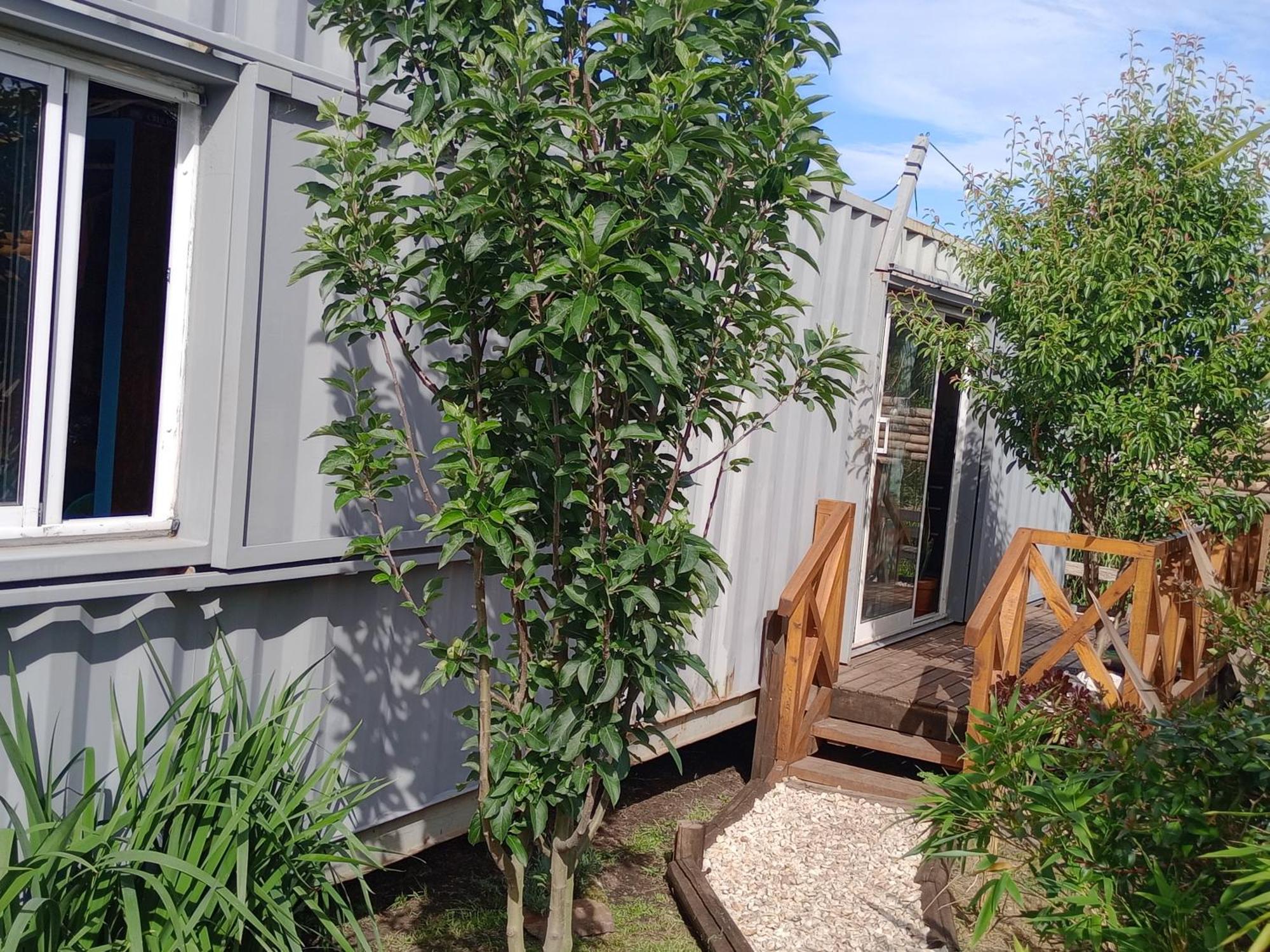 Foresta Acantilados, Casa Container Y Cabana De Troncos Mar del Plata Bagian luar foto